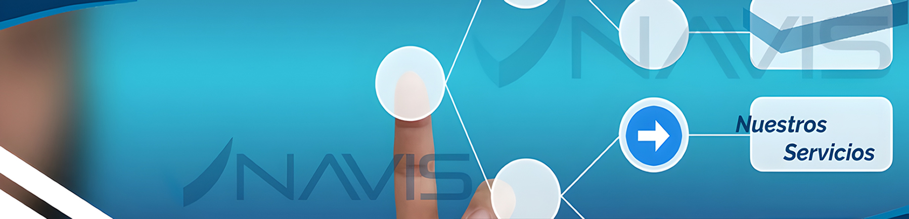 Nuestros Servicios